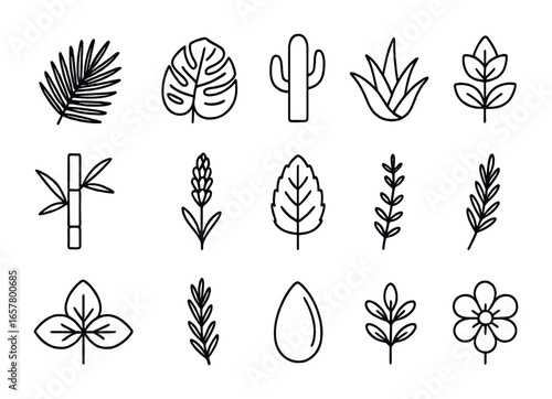 Botanical Icon Set. Outline icon set of botanical package design: palm leaf, monstera leaf, cactus, aloe vera,