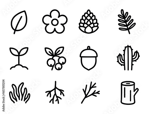 Forest Icon Set. Outline icon set of forest plant identification: leaf, blossom, pine cone, fern, seedling,