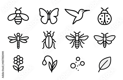Wildflower Pollinator Icons. Outline icon set of wildflower pollinators: bee, butterfly, hummingbird, ladybug,