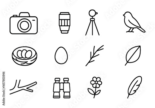 Birdwatching Icon Set. Outline icon set of photographing birds building nests: camera, lens, tripod, bird