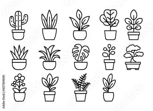 Home Plant Icons. Outline icon set of home plant shelf arrangement: potted cactus, snake plant, peace lily,