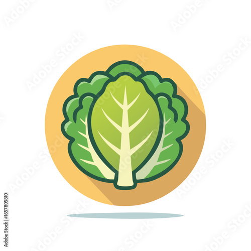 Fresh Romaine Lettuce Head Icon Flat Design Vegetable Nutrient Circle Shape
