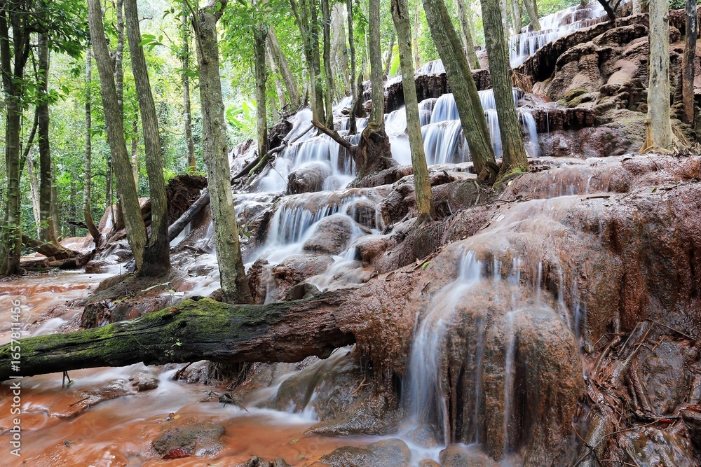 Fototapeta premium waterfall in the forest