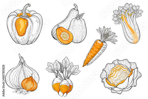 Hand-drawn vegetables including bell pepper, carrot, and cabbage  