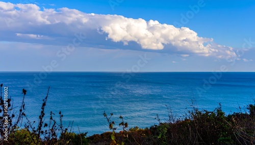 Expansive ocean vista showcasing a vast expanse of deep blue water meeting a vibrant azure sky, framed by the silhouette of dry coastal plants.