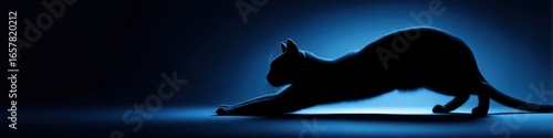 Stretching cat silhouette in blue light for feline fitness concepts