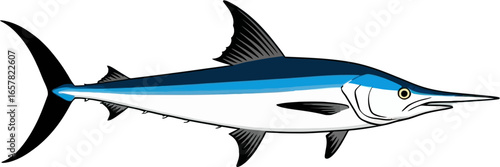 Blue marlin fish swimming in ocean water, featuring its large size and distinct bill. Suitable for marine life, fishing, and wildlife concepts.