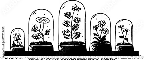 Minimalistic black and white botanic illustration for design and decoration