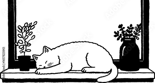 Minimalistic black and white cat illustration on window sill with plants