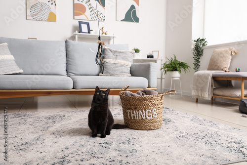 Cute black cat playing in l...