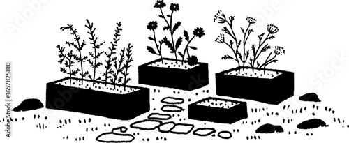 Minimalistic black and white garden illustration featuring planter boxes and flowers
