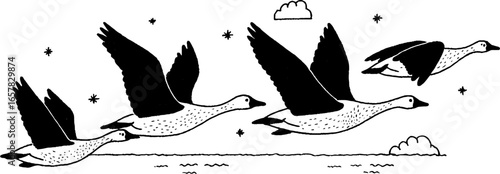 Minimalistic black and white geese illustration for design and decoration