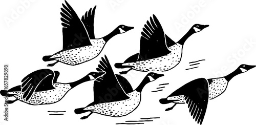 Minimalistic black and white illustration of flying geese - design for posters and prints