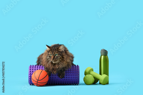Cute cat with sports equipm...