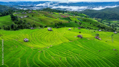 Foto Aerial view of Rice terrace at Ban pa bong piang in Chiang mai, Thailand