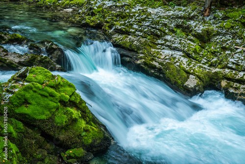 Vintgar gorge waterfall over mossy rocks
