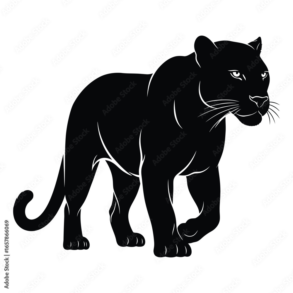 Obraz premium Black Panther Silhouette Walking on White Background