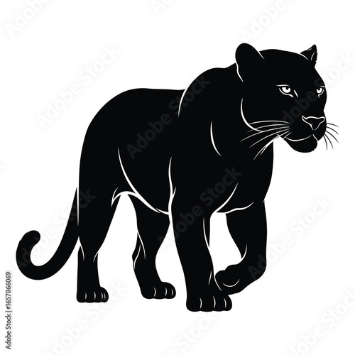 Black Panther Silhouette Walking on White Background