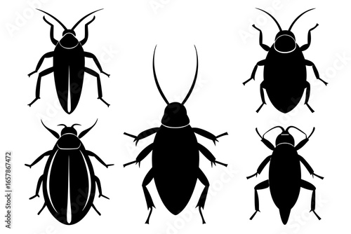 set of Cockroach vector silhouette illustration isolated on white background