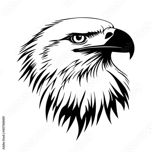 Fierce eagle head illustration showcasing intricate detailing and powerful expression, symbolizing strength and freedom in nature