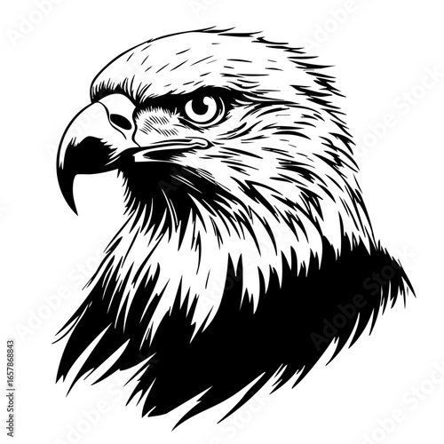 Powerful black vector illustration of an eagle head showcasing strength and majesty in its fierce gaze and detailed feathers