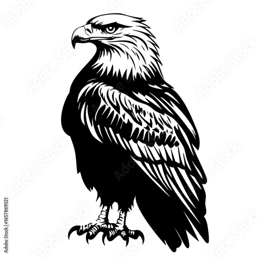 Majestic black eagle perched confidently, showcasing detailed feather patterns and sharp gaze during the afternoon sun