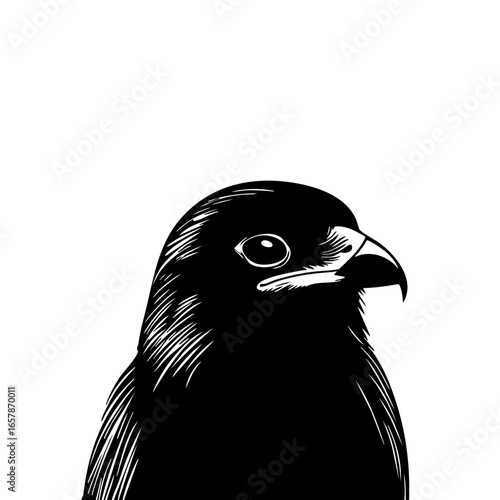 Black vector illustration of a bird's head showcasing detailed feathers and sharp features, perfect for wildlife and nature themes