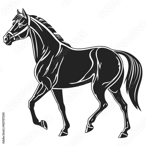 Isolated Black Silhouette of Horse on White Background Animal Vector Illustration