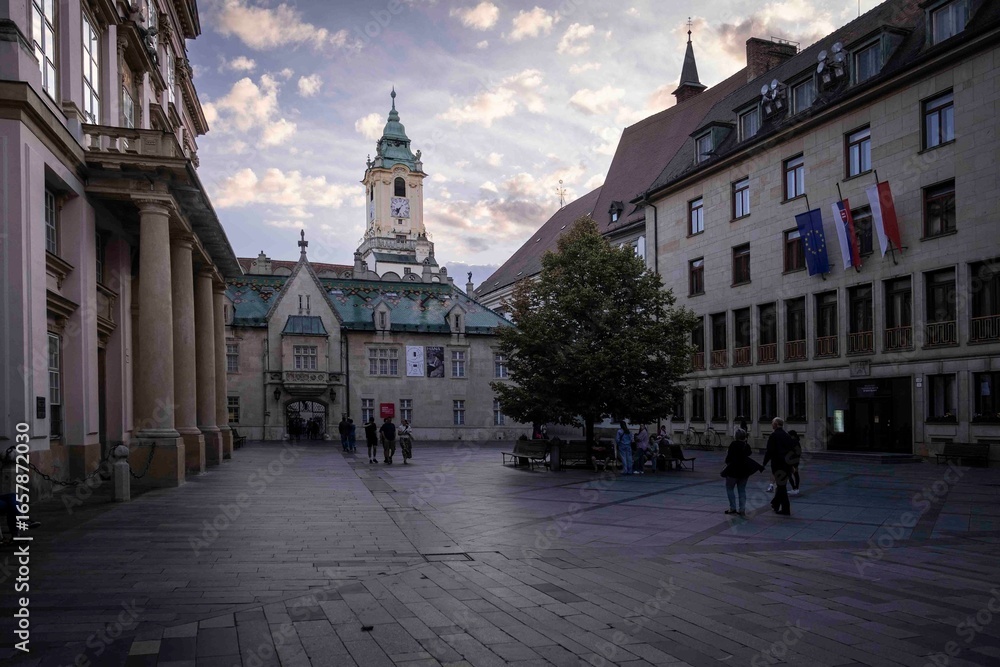 Fototapeta premium The city of Bratislava, capital city of Slovakia