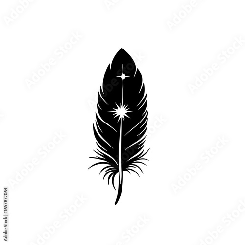 Detailed black vector illustration of a feather showcasing intricate lines and a star at the tip, perfect for design projects