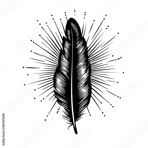 Elegant black feather design with radiating lines suggesting energy and movement, perfect for art and graphic projects