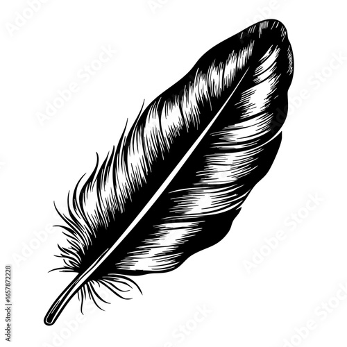 Elegant black quill feather with detailed lines showcasing natural texture and design, representing creativity and artistry
