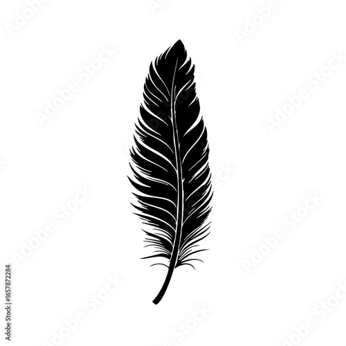 Elegant black feather design showcasing intricate details and natural beauty for artistic and decorative purposes