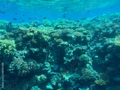 Wallpaper Mural Roundtrip in Australia Torontodigital.ca