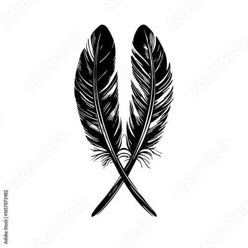 Crossed black feathers symbolizing freedom, nature, and artistic expression with delicate details in each plume