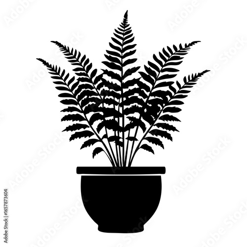 Elegant black fern plant in decorative pot showcasing intricate leaf patterns for indoor decor enhancement