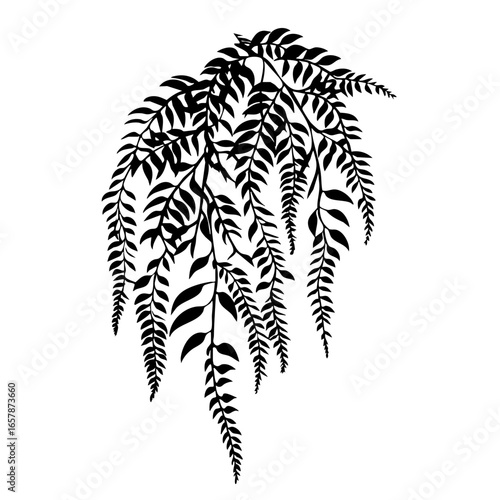 Elegant black fern vector with intricate leaf patterns for decorative designs or artistic projects