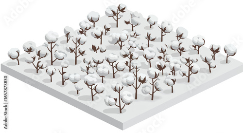 Isometric cotton field with plants. Background use textile, organic fabric design