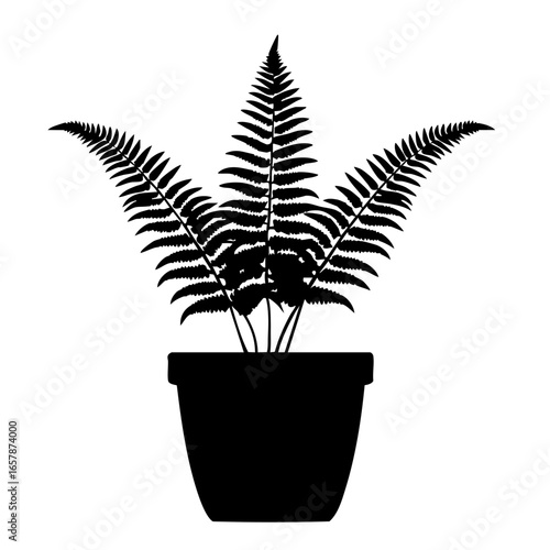 Elegant fern plant silhouette in a pot with detailed fronds exhibiting natural beauty and grace