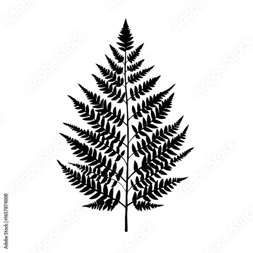 Detailed black vector illustration of a fern leaf with intricate fronds and delicate leaflets showcasing natural beauty and elegance
