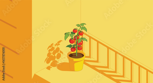 Small tomato plant growing in a pot by a sunny wall. Illustration for farming concepts