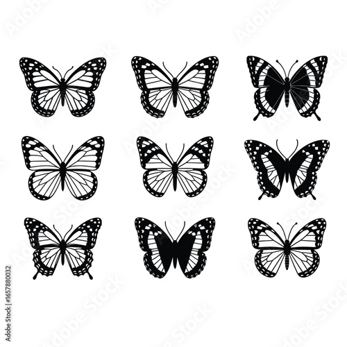 Butterfly black and white vector icon set featuring monarch, swallowtail, morpho, glasswing, painted lady, red admiral, owl butterfly, hairstreak