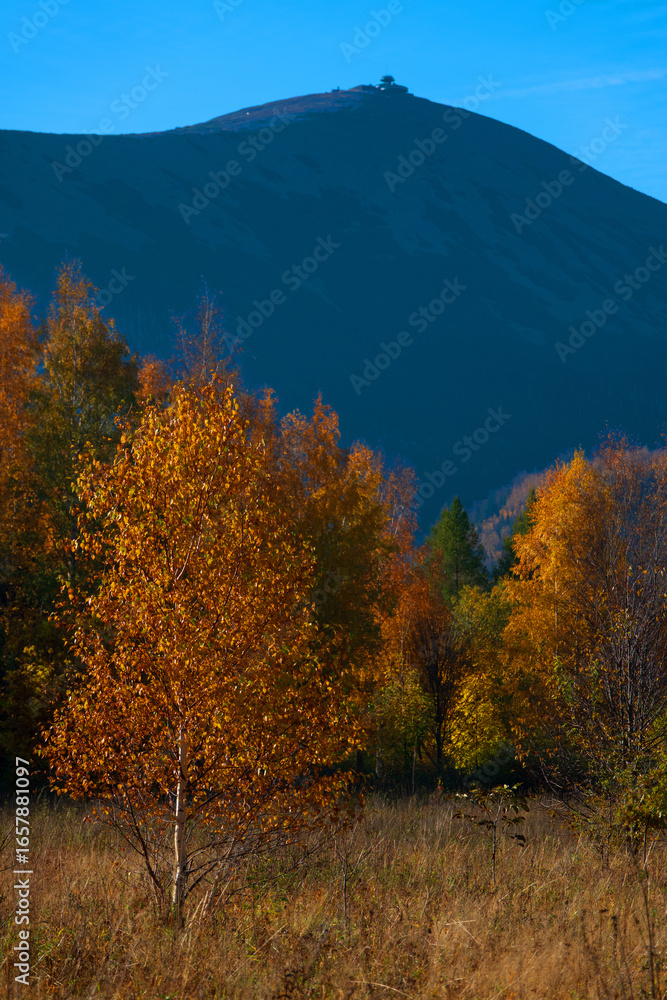 Fototapeta premium autumn landscape. view of Krkonose mountains and peak of Mount Snezka. Karpacz, Poland