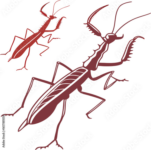 big size phasmids with silhouette vector colorful design