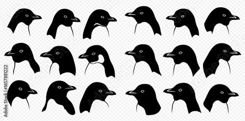 A collection of black and white Adélie penguin head illustrations, showcasing different profiles and poses on a transparent background.