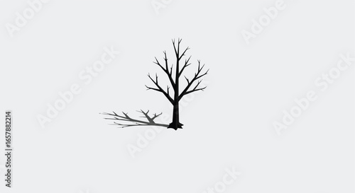 Bare silhouette tree casting shadow on blank white background for concept design
