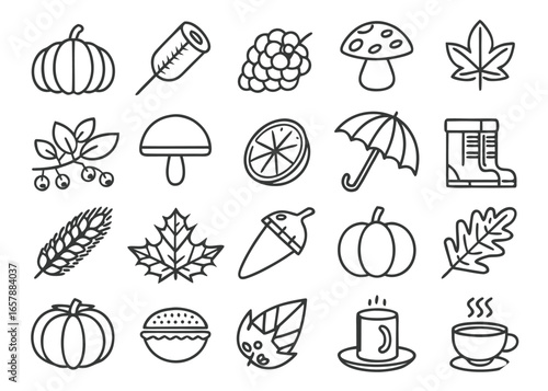 Autumn themed outline icons featuring pumpkins, leaves, and mushrooms Keywords: pumpkin, gourd, stem, grape, bunch