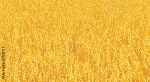 Golden wheat stalks pattern in field. Background for a product or digital illustration