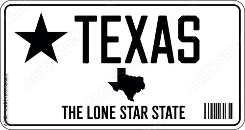 Texas license plate the lone star state vector graphic vector file