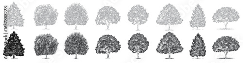 Set of outline Minimal style CAD tree drawings in side view. Clean line symbols for architecture and landscape use. Modern vector graphic style.